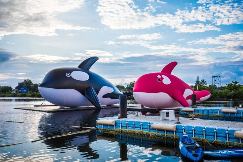 安平虎鯨 ORCA GO！夏日嘉年華/萌到炸！世界最大虎鯨情侶檔Orca＆Orla 來安平放閃！ - 大手牽小手。玩樂趣