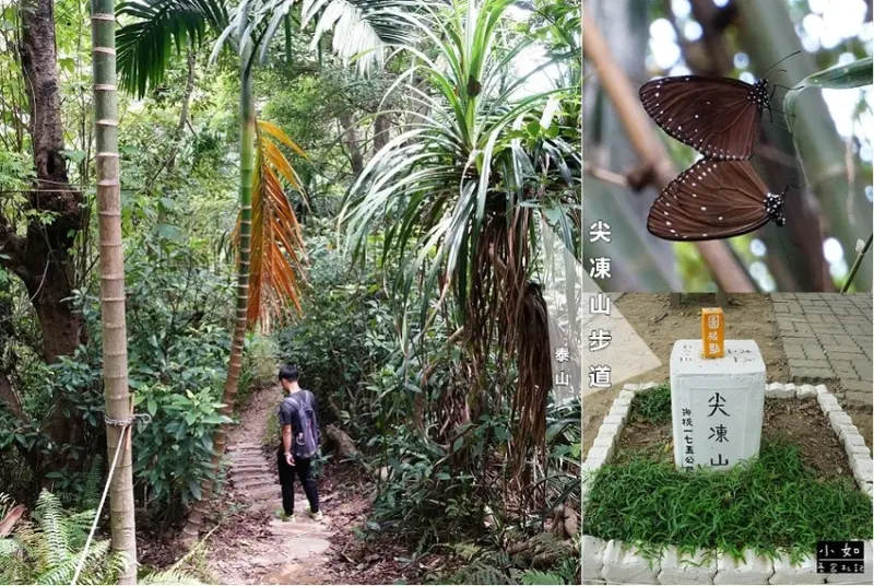 【泰山步道】尖凍山步道‧尖凍山基石‧遠看高速公路跟高樓‧喜歡步道的叢林林蔭！