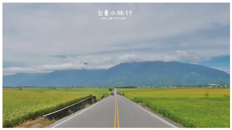 《台東池上》伯朗大道│台東IG打卡絕美景點與隱藏版美食大池豆皮豆漿豆包店