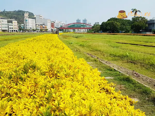 【高雄旅遊】鼓山-高雄港火車站/打狗驛《哈瑪星鐵道文化園區》~順遊駁二蓬萊倉庫群(顛倒屋特展)