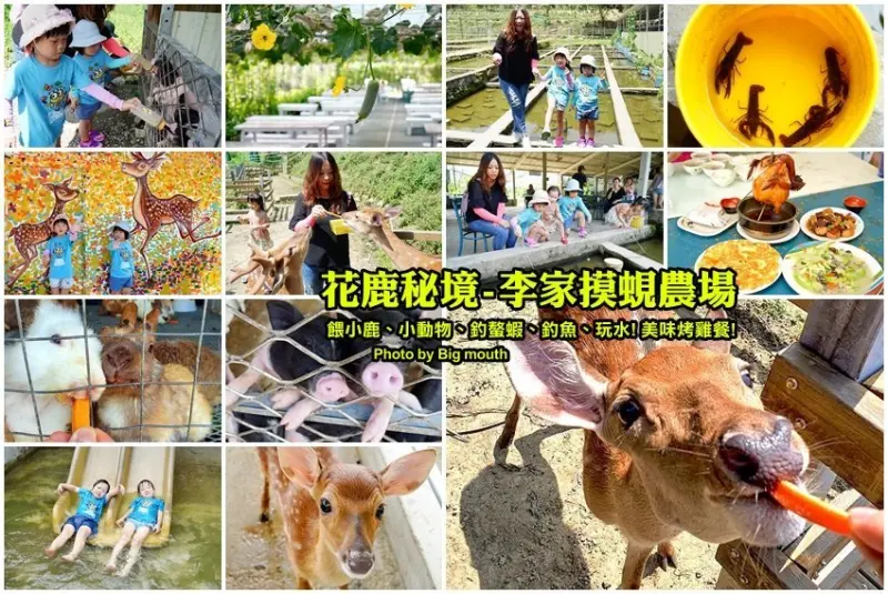 【桃園大溪親子景點】花鹿秘境-李家摸蜆農場．餵小鹿、迷你豬、釣蝦、釣魚、玩水~