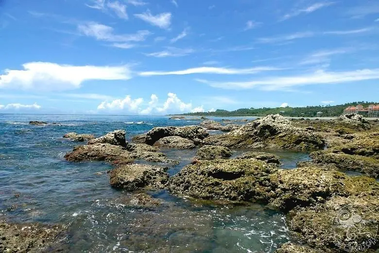 台東親子景點【富山漁業資源保育區】帶孩子探索海洋世界，看見難得一見的生物，觀賞美麗的自然生態，用海藻饅頭餵食海中生物，來場親密互動喔！