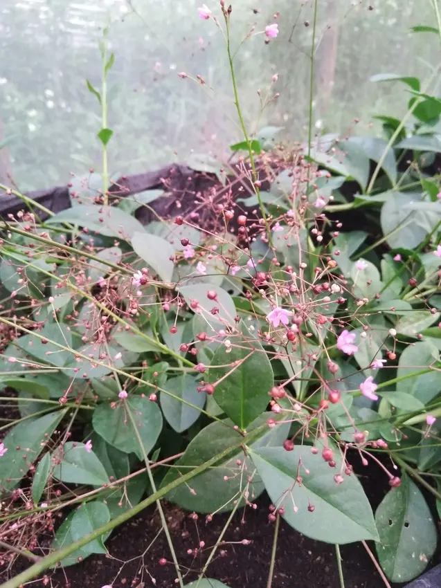 綠生農場一日遊