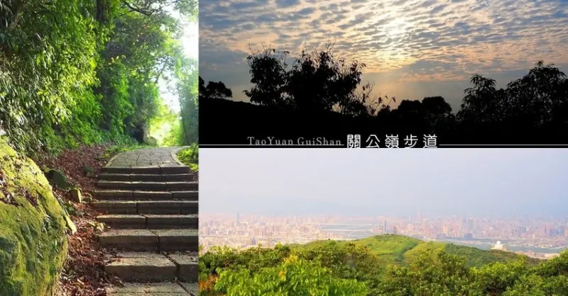 午後陽光灑落竹葉上︱桃園龜山關公嶺步道