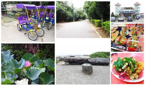 【桃園旅遊景點】桃園新屋綠色走廊&永安漁港半日遊