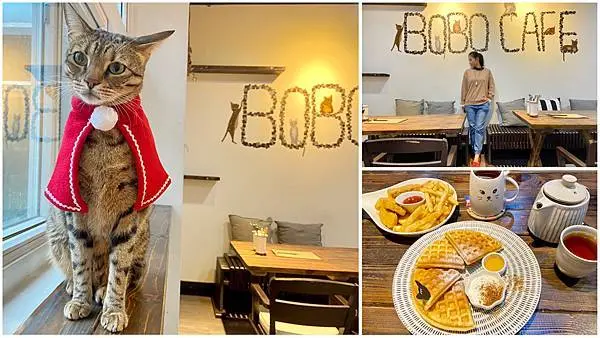 新北.五股-豹豹咖啡館(森林館)，跟可愛豹貓一起享用美味下午茶ˊ，優閒度過的美好下午!