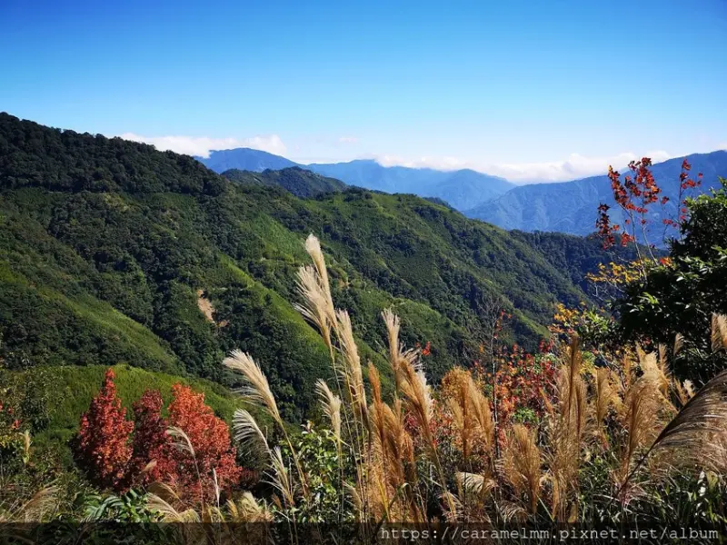 【新竹尖石】李崠山步道健行 李崠山古堡 李棟山莊 馬美部落 台灣小百岳 新竹一日遊 新竹景點