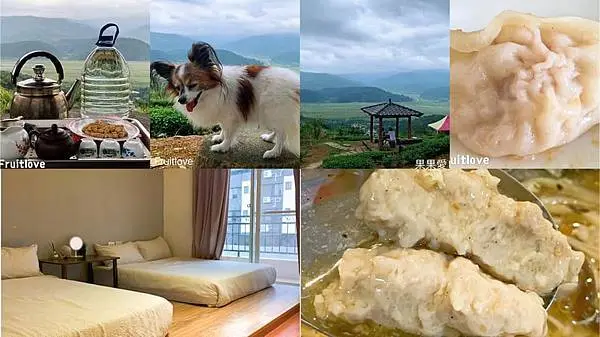 置身在茶園裡泡茶，觀景，愜意又美好　玉蘭茶園　　平價舒適的寵物友善民宿希伯崙客旅　與三星在地美食　大埔早餐　與黑人肉羹　滿足味蕾　親子寵物友善　清水地熱下集