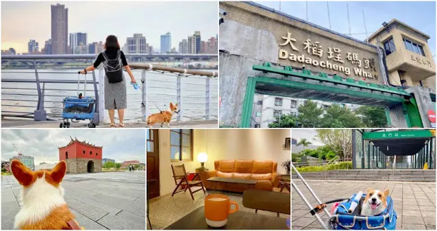 台北西區散策！沒有計劃的大稻埕驚奇冒險，用心雕刻與萌寵的微旅行～