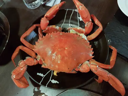 螃蟹火鍋粥 ::: 八腳老大 活跳跳沙母煮入廣東粥火鍋！隨桌服務份量滿點 - 開朗少女的吃喝跑跳蹦