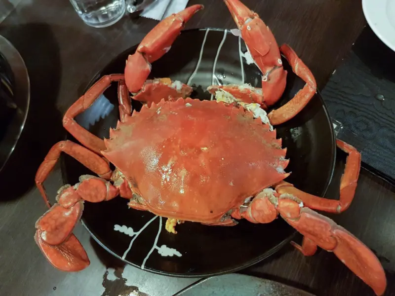 螃蟹火鍋粥 ::: 八腳老大 活跳跳沙母煮入廣東粥火鍋！隨桌服務份量滿點 - 開朗少女的吃喝跑跳蹦