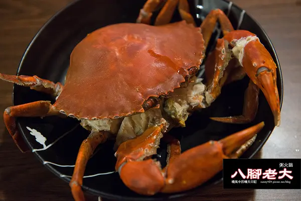 【台北|八腳老大】吃到滿足幸福感的溫潤螃蟹粥火鍋        
      