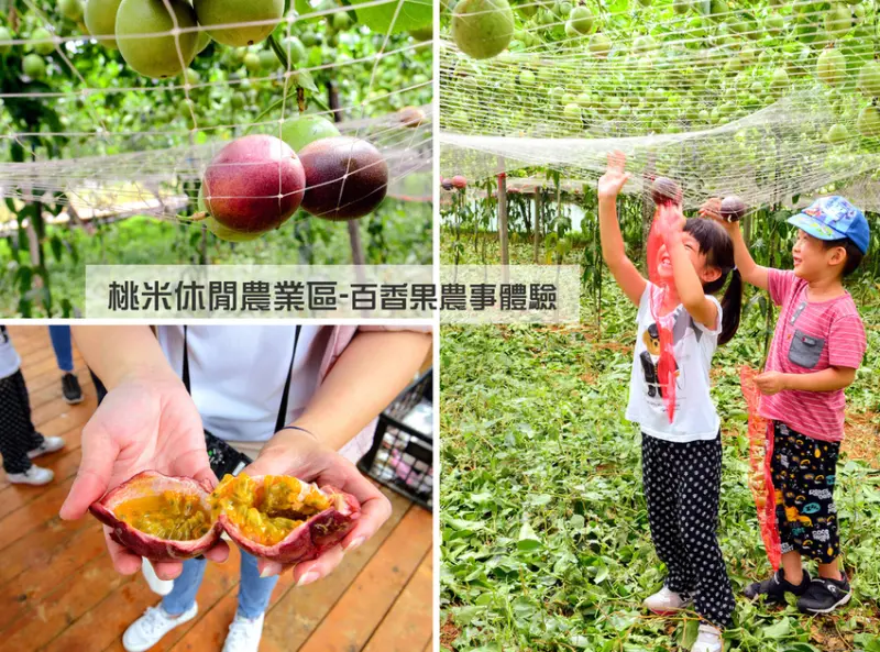 「桃米休閒農業區