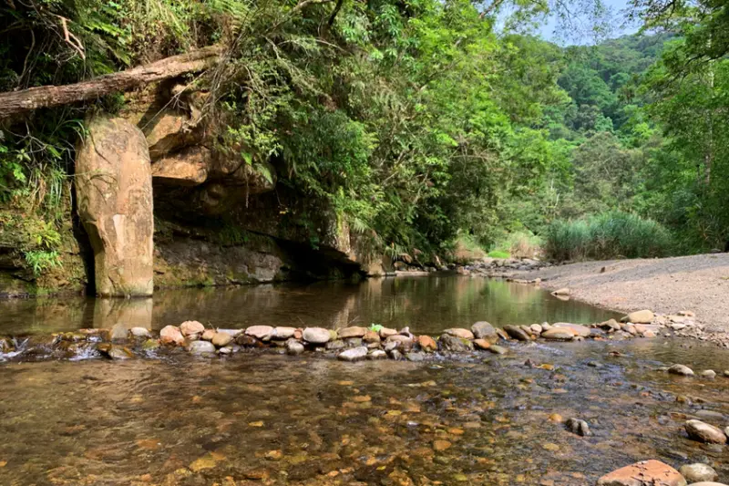 雙北免費玩水景點推薦：金瓜寮魚蕨步道/ WalkerLand窩客島整理提供 未經許可不可轉載