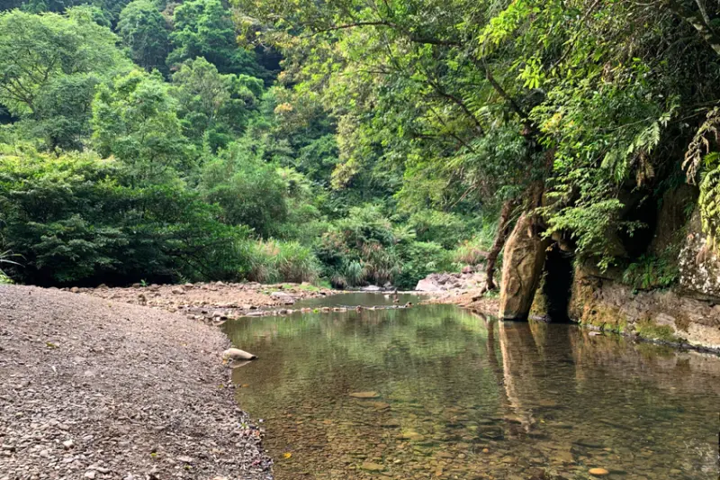 雙北免費玩水景點推薦：金瓜寮魚蕨步道/ WalkerLand窩客島整理提供 未經許可不可轉載