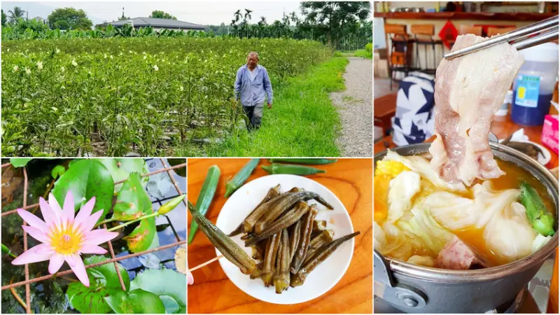 【高樹景點】上庄休閒農場 風味火鍋 澳洲茶樹精油 DIY 採果體驗 愛遊台灣 iyoTaiwan