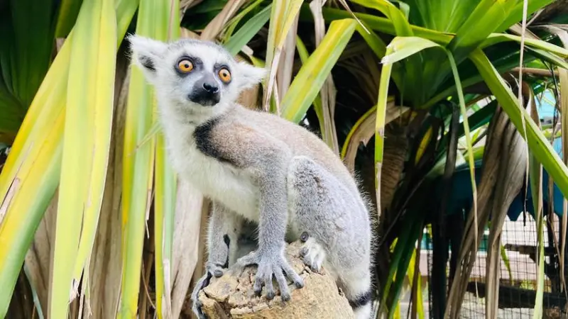 【關西六福莊 生態度假旅館】愛動物的您，一生一定要住一次的飯店