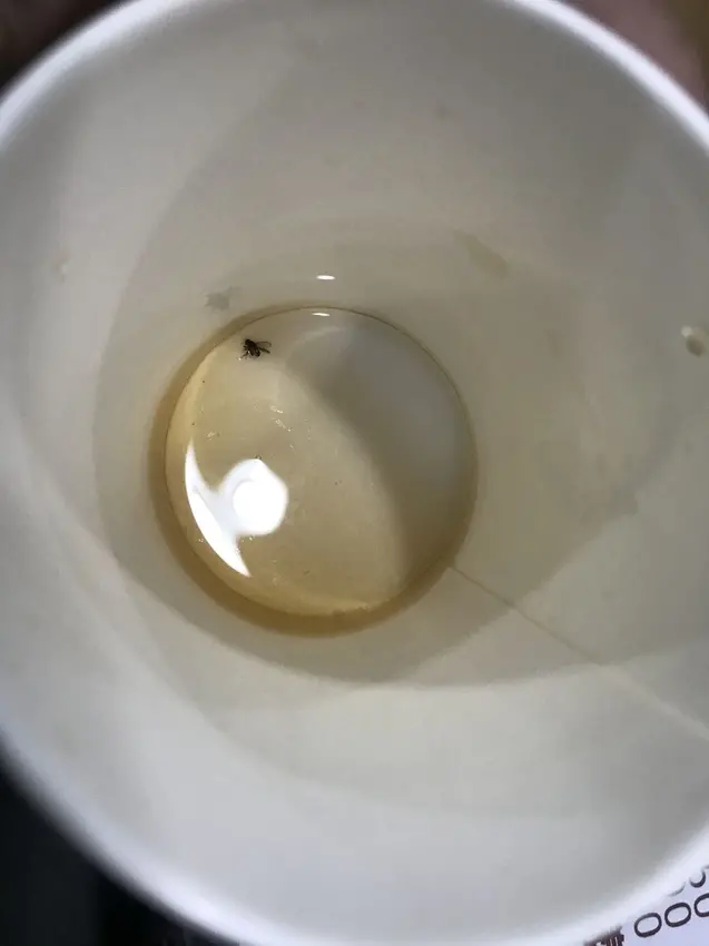 大埔平價鐵板燒｜陳皮的日常 超級不推薦的鐵板燒 拒絕再去的一家店