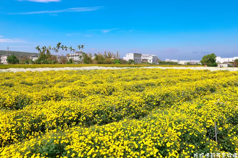 銅鑼火車站/ WalkerLand窩客島整理提供 未經許可不可轉載