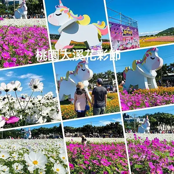 2020桃園花彩節大溪展區|動物派對|巨大獨角獸長頸鹿|大溪隱藏版庭園餐廳三姐的廚房|桃園最盛大最後壓軸花海夢幻登場