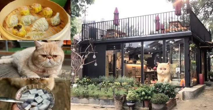〖游家肥貓 〗新亮點！加菲貓寵物餐廳．126公分超萌加菲貓．荒廢舊屋改建的寵物餐廳．低消飲品只要50元