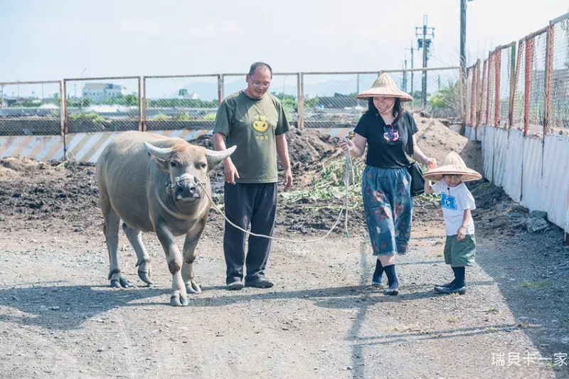 牛頭司耕牛小學堂