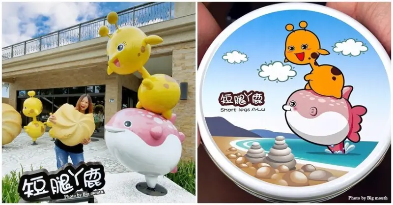【花蓮伴手禮】短腿阿鹿．超夯曲奇餅來到新城老街啦!
