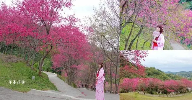 桃園復興旅遊景點 ▶ 翠墨莊園 ▶ 穿著浴衣漫步櫻花林 日式造景、戲水池、兒童遊憩區、浴衣體驗 翠墨莊園櫻花、門票!