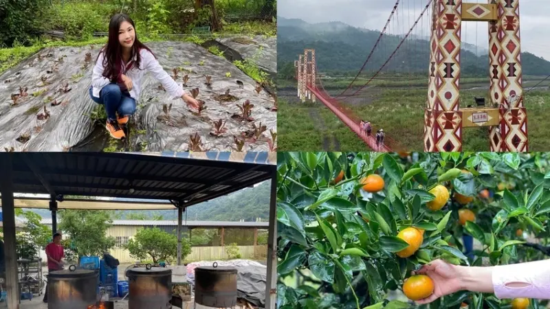 [宜蘭旅遊] 宜蘭水果之鄉-大進【冬山鄉大進村休閒農業區】儂來農場/神隱村農場/松茂果園/上旺農家樂/寒溪吊橋 @蛋寶趴趴go