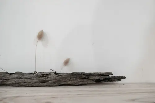 [秋，新竹] 東門市場裡的靜謐與沉靜 - BitterSweet 比特甜
