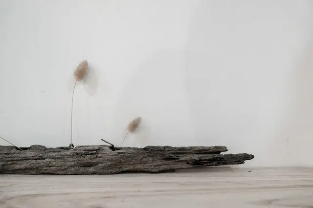 [秋，新竹] 東門市場裡的靜謐與沉靜 - BitterSweet 比特甜
