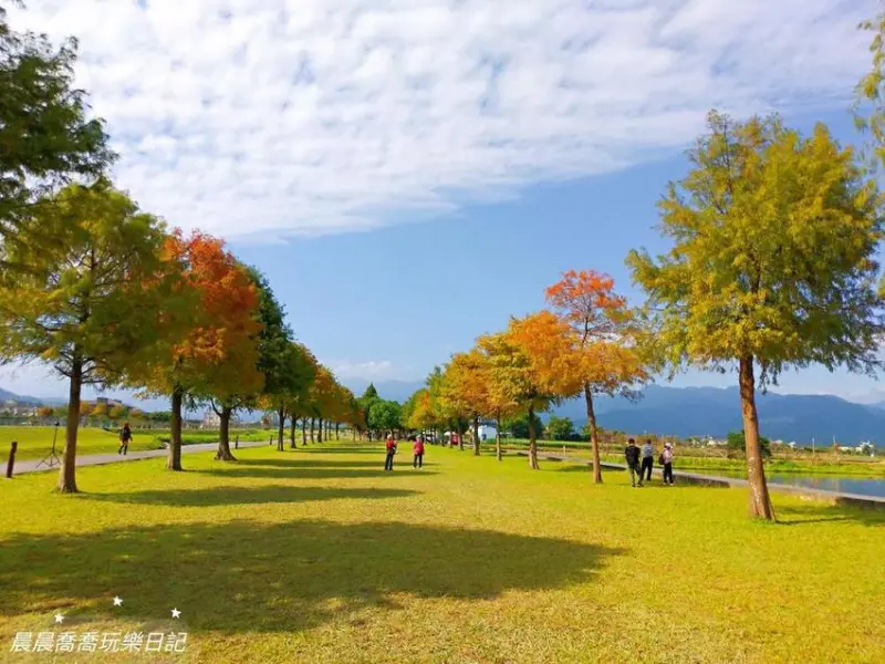 宜蘭景點【落羽松祕境】秋冬必去！絕美落羽松林，好夢幻好好拍！一日遊這樣玩！