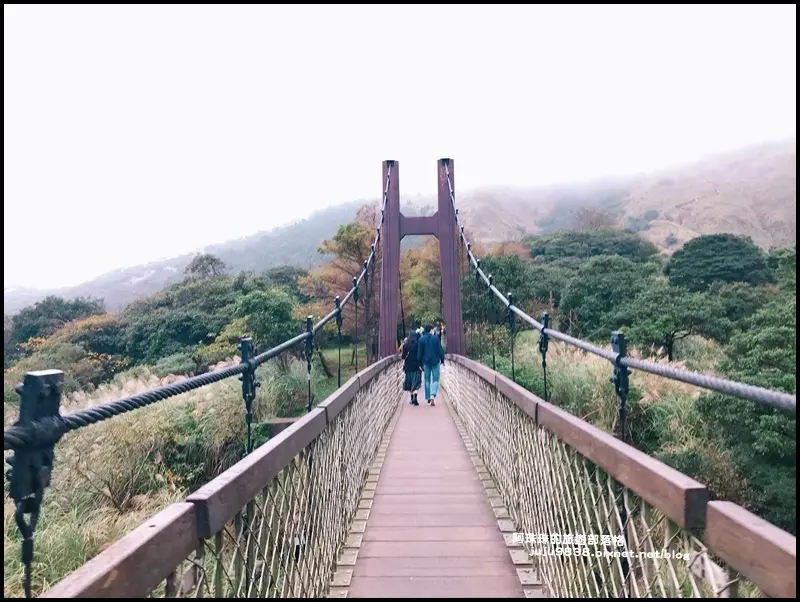 陽明山必訪秋季景點 #菁山吊橋/ WalkerLand窩客島整理提供 未經許可不可轉載