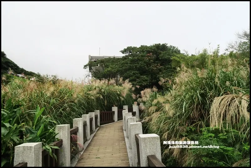  陽明山必訪秋季景點 #菁山吊橋/ WalkerLand窩客島整理提供 未經許可不可轉載