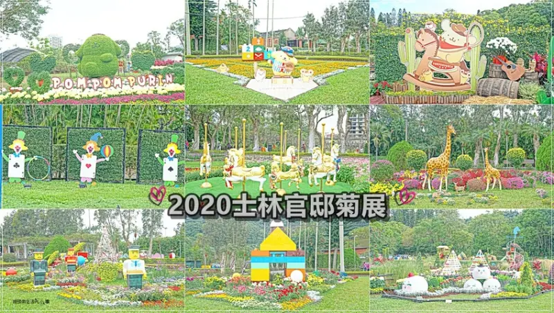 【台北景點】2020士林官邸藝菊童遊／士林捷運站～20萬盆菊花花海、超萌布丁狗打造13個展區，連續17天限定菊展