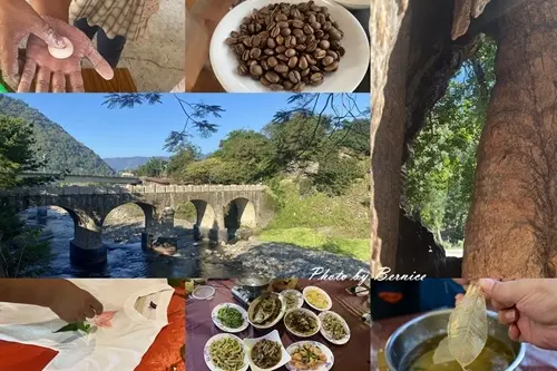 糯米橋客家庄農遊微旅行~原來糯米橋休閒農業區這麼好玩