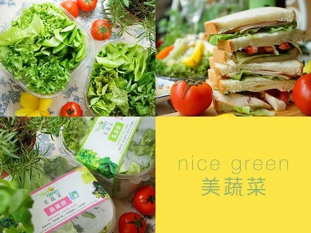 宅配水耕生菜推薦~nice green美蔬菜 植物工廠SPA美￼容長大的蔬菜 用最科技的方法栽培出來的顆顆就是這麼漂亮 是我見過顏值最高的美蔬菜 懶人福音定期配送 只需洗手不需洗菜就可以在家優雅享受