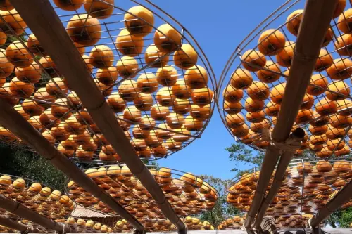 旅行｜新埔 味衛佳柿餅教育農園