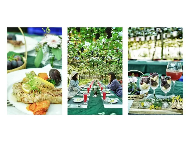 台中新社美食推薦~新峰農場  葡萄藤蔓下的浪漫饗宴 每年秋季才會推出的葡萄園無菜單料理 擺脫傳統的觀光果園採果活動 猶如漫步歐洲鄉下的葡萄莊園中 好夢幻啊!!