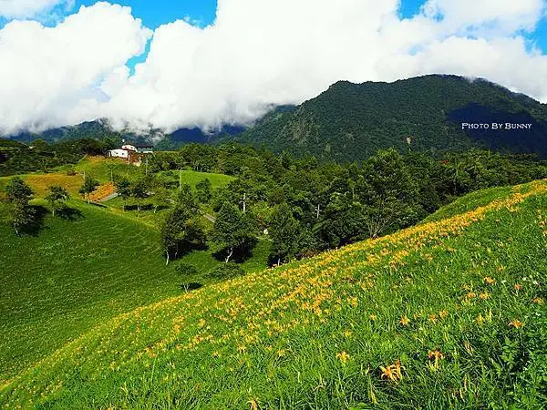 P7310513_調整大小