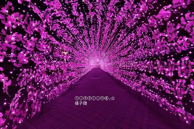 2020新莊耶誕燈節｜新莊中港大排｜願景公園冰雪燈瀑傾瀉而下，展期：2020/12/01～2021/01/03。