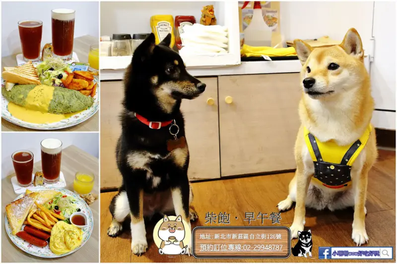 【食。新莊】柴飽早午餐〜全天候早午餐，萌萌柴犬桌邊陪你吃飯，超乎想像的平價大份量早午餐！