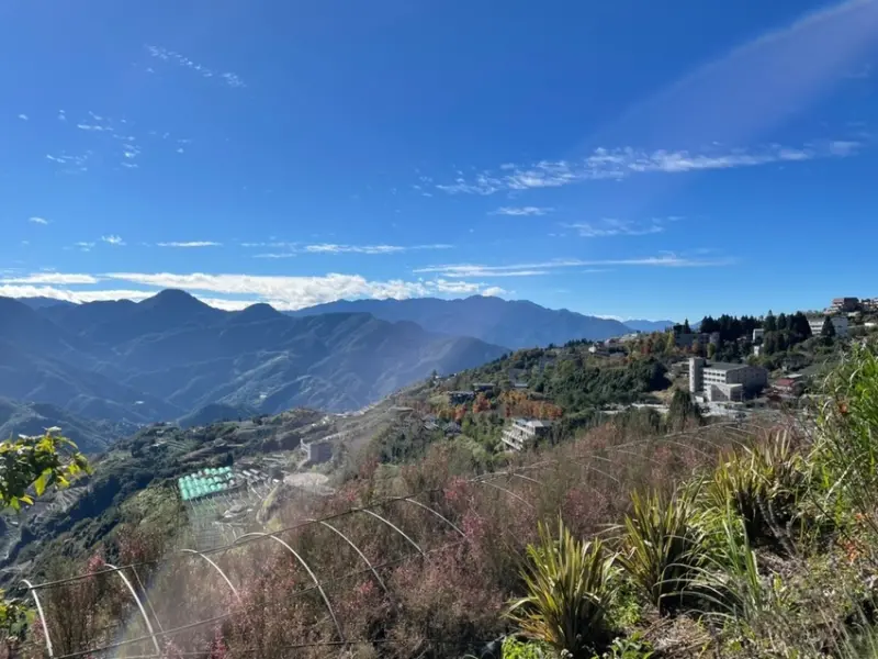 【南投 清境】不只雪松樓清境民宿也方便 登山客在綠邑田園民宿住一晚吧！