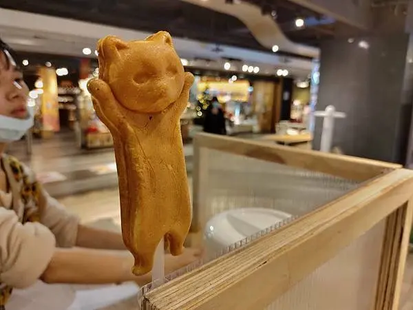 【金典綠園道特展-遇見貓】台中必逛金典綠園道每月不同的特展主題-遇見貓