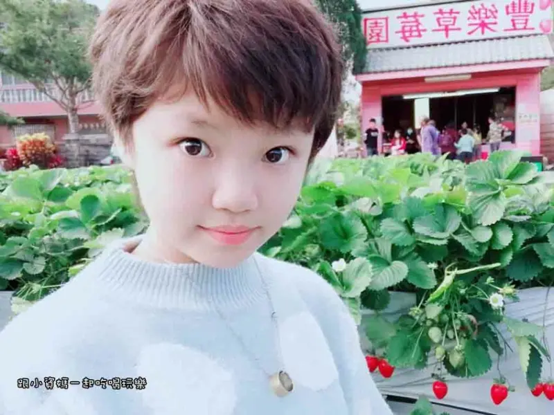 【苗栗縣大湖鄉景點】豐樂草莓園 高架式草莓不用怕弄髒 不需預約 有停車場 親子一日遊推薦 鄰近大湖酒莊