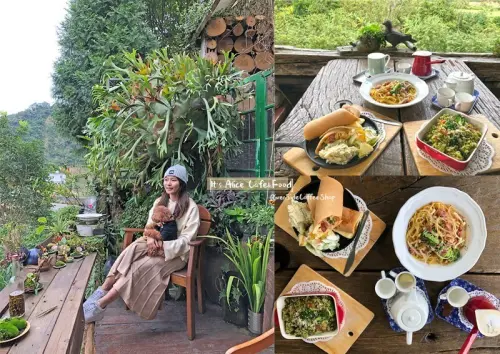 【新竹竹東】走進童話世界/療癒身心的美味餐點/It’s Alice cafe & food