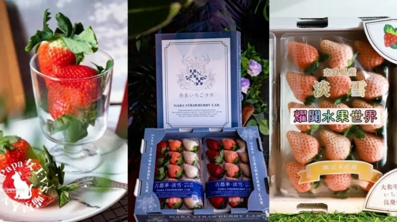 台中南屯｜ 耀聞水果世界-世界水果產地直送 日本頂級草莓-淡雪/あまおう」(amaou)． 栃木・愛知・茨城．熊本 今天想吃哪裡的水果! 浮誇系水果行