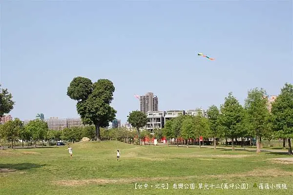 【台中。北屯】單元12-南興公園/萬坪公園。位於松竹車站/捷運正後方，這裡有超可愛米奇樹、大草皮、小山丘、落羽松大道、直排輪場地.....帶上一塊野餐墊和孩子的風箏，盡情的享受親子假日悠閒時光！