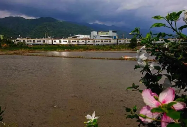 宜蘭下雨更要去！獨家水田倒影，湖畔落羽松轉紅中，立刻出發正著時