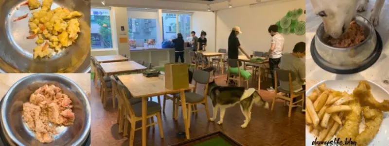 可落地、可放繩、可奔跑的寵物友善餐廳！還有美味餐點及寵物鮮食～主人、毛孩都開心～ 丹尼的吃喝玩樂 dannyslife.blog